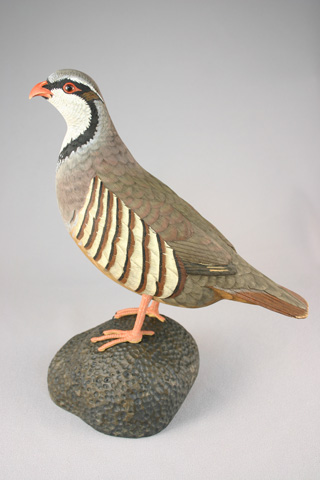 chukar